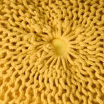 Goldoma Handcrafted Knitted Cotton Round Pouf – Yellow, 30-Inch Floor Ottoman for Living Room Decor – top view