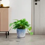 Pair of gradient ceramic planters placed on a modern concrete patio, with one containing a green succulent and the