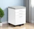 HMS 25" Gray Particle Board Filing Cabinet Drawers Modern Design Iron Metal Storage Cabinet Adjustable WorkShop File Cabinet