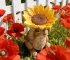 Sunflower hat bunny statue in garden setting with bird feeder detail