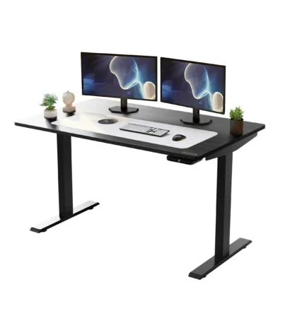 HMS 52" Bamboo Dual Motor Electric Office Desk Adjustable Computer Desk Black on Black