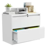 Office Storage Filing Cabinet 2 Drawer Lateral Metal File Cabinet with Lock for Letter/Legal/F4/A4 Size