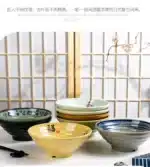 Melamine Bowl Japanese Style Noodle Soup Powder Imitation Porcelain Tableware – angled view