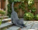 Hand-painted stretching cat statue in garden setting