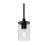 Pendant light fixture viewed from below, showing the clear glass globe and black canopy.