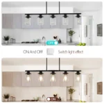 37" Modern Industrial 5-Light Chandelier with Clear Glass Shades,Matte Black Metal Frame Hanging Ceiling Light Fixture(No