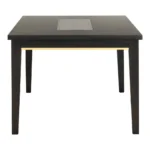 Contemporary espresso wood dining table with mirror insert in a modern dining room setting.