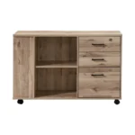 39.37 In. W Black Oak Wood 3-Drawer Lateral File Cabinet FCJ Series – styled in a modern Office Storage setting