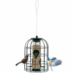 Durable stainless steel green wild bird feeder hanging from a tree branch against a clear blue sky.
