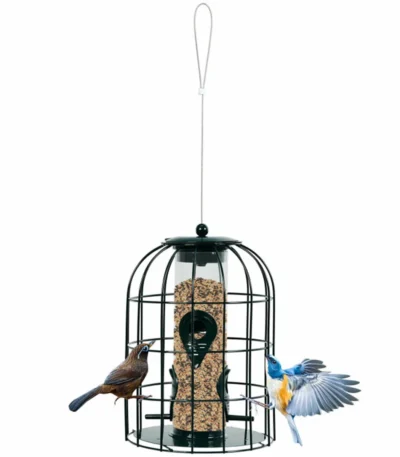Green stainless steel weatherproof bird feeder hanging in a garden with wild birds