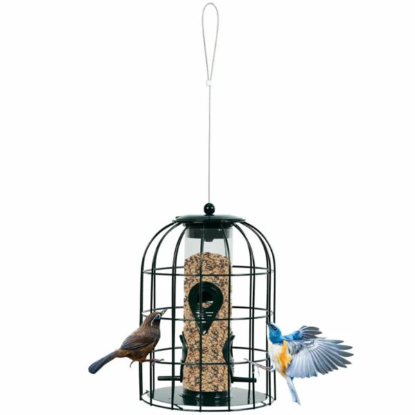 Durable Stainless Steel Green Wild Bird Feeder Long-Lasting and Weatherproof