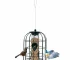 Green stainless steel weatherproof bird feeder hanging in a garden with wild birds