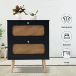 2-drawer rattan nightstand with handwoven rattan drawers in minimalist black finish - Goldoma