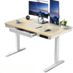 Height Adjustable Standing Desk,Computer Desk& Office Desk with Drawer Wireless Charging Cable Management for Home