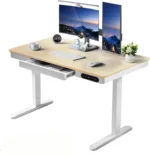 Height Adjustable Standing Desk,Computer Desk& Office Desk with Drawer Wireless Charging Cable Management for Home