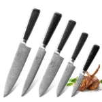 Most Popular VG10 Damascus Steel 5 Pieces Chief Kitchen Knife Set with Micarta Handle