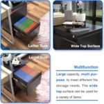 Black FCJ Fully Assembled Mobile Metal File Cabinet 2 Drawer Vertical Lock Wheels Letter Size Office Storage for Desk Office