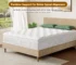 Hybrid mattress with lumbar support featuring pocket springs and memory foam layers