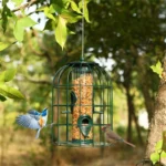 Close-up of the green bird feeder showing its stainless steel ports and perches with seeds inside.