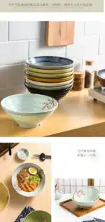 Melamine Bowl Japanese Style Noodle Soup Powder Imitation Porcelain Tableware – close-up detail