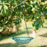 Bird bath bowl filled with water, reflecting sunlight, hanging from a tree branch.