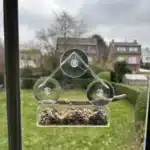 Transparent window bird feeder attached to glass with suction cups, filled with seeds, attracting a cardinal