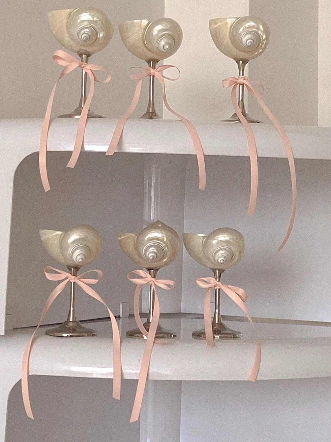 Nature Natural Conch Shell Glass Stem Cup Champagne Mug Goblet Ornaments Household Shell Candlestick Jewelry Storage Home
