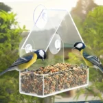 Transparent window bird feeder attached to glass with suction cups, filled with seeds, attracting a cardinal