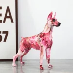 Simple Creative Pet Handle Graffiti Color Doberman Dog Statue Decorations Home Entrance Wine Cabinet Office Decor Resin