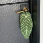 Plant Towels Ultra-Absorbent Quick-Dry Bathroom & Kitchen Towel - Tropical Leaf Design Hand/Thumb Towel with Hanging