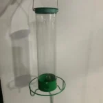 Hanging squirrel proof bird feeder in garden with a chickadee feeding