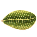 Soft absorbent bath mat in bathroom with banana leaf texture