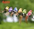Set of fake bird decorations in various colors perched on a branch