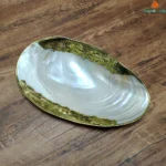 Natural Shell Tray With Golden Metal Edge Mother of Pearl Restaurant Serving Plate Dish Bowl Jewelry Holder Photography