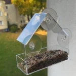 Transparent window bird feeder attached to glass with suction cups, filled with seeds, attracting a cardinal