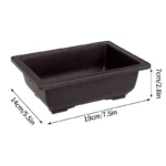 Rectangular planter with tray, filled with cactus and pebbles.