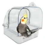 Parakeet standing on the edge of a clear bird bathing tub.
