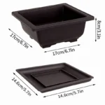Bonsai pot with small cactus, top-down view on wooden surface.