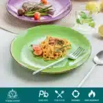 vancasso 6/12 Piece Multicolour 10.4 inch Dinner Plate Set Handpainted in Rustic Look 26.5cm Serving Plate for