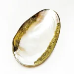 Natural Shell Tray With Golden Metal Edge Mother of Pearl Restaurant Serving Plate Dish Bowl Jewelry Holder Photography