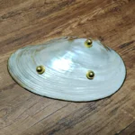 Natural Shell Tray With Golden Metal Edge Mother of Pearl Restaurant Serving Plate Dish Bowl Jewelry Holder Photography