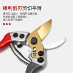Goldoma pruning shears held in a gloved hand, snipping a green stem.