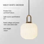 Glass pendant light in a Scandinavian-style living room, paired with wooden furniture and plants.