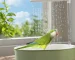 Colorful parrot enjoying a parrot shower bath in a white bird bathtub accessory