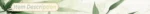 Multi-Layer Standing Desk Small Office Desk Adjustable Height Wooden Computer Desk Workstation Work Table Laptop Desk for