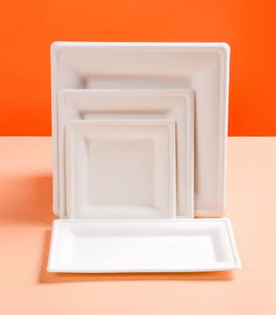 50pcs Degradable Square 6/8/10 Inch Disposable Paper Plate Thick Cake Tray for Baking Barbecue Party Tableware Fruit Snack