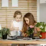 Complete succulent tools set on a potting bench