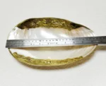 Natural Shell Tray With Golden Metal Edge Mother of Pearl Restaurant Serving Plate Dish Bowl Jewelry Holder Photography