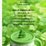 Insulated coffee mug with lucky coriander pattern, stainless steel travel mug 450ml