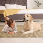 Polyester-cotton Waffle Bath Mat Bathroom Door Mat Anti-slip Foot Mats Water-absorbent, Quick-drying Floor Towel Anti-slip